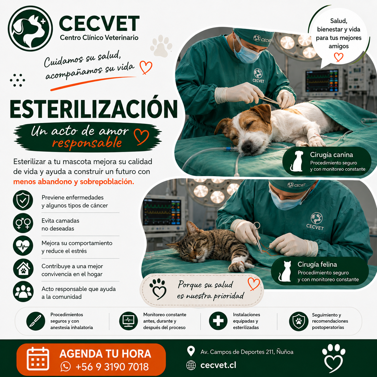 Esterilización