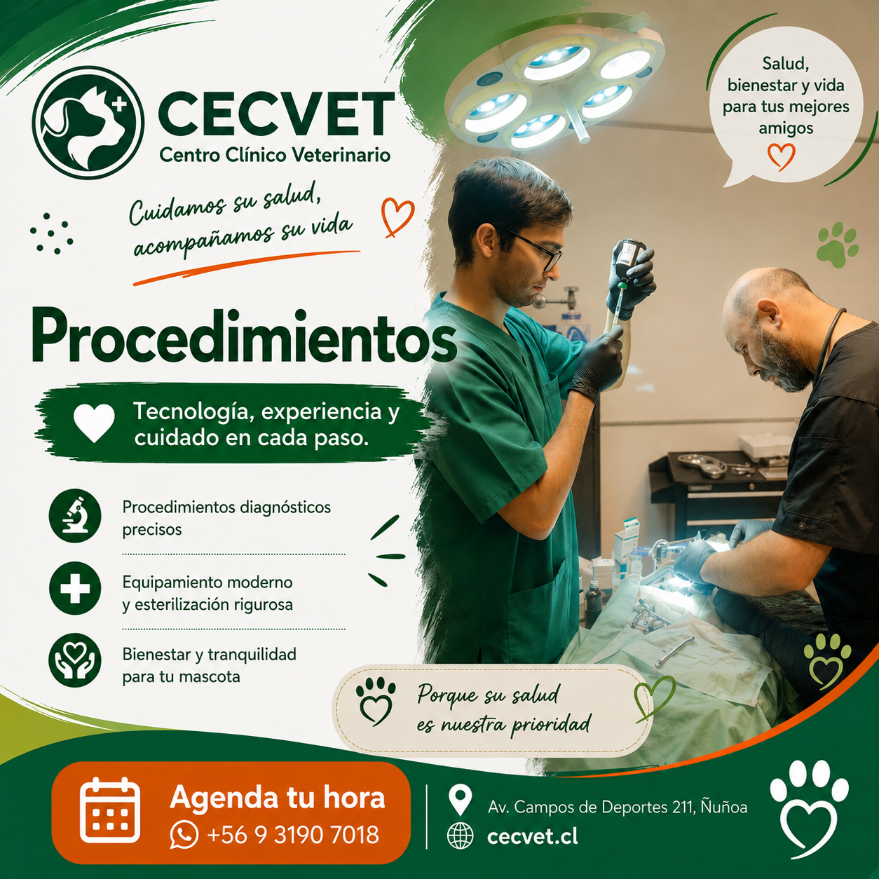 Procedimientos