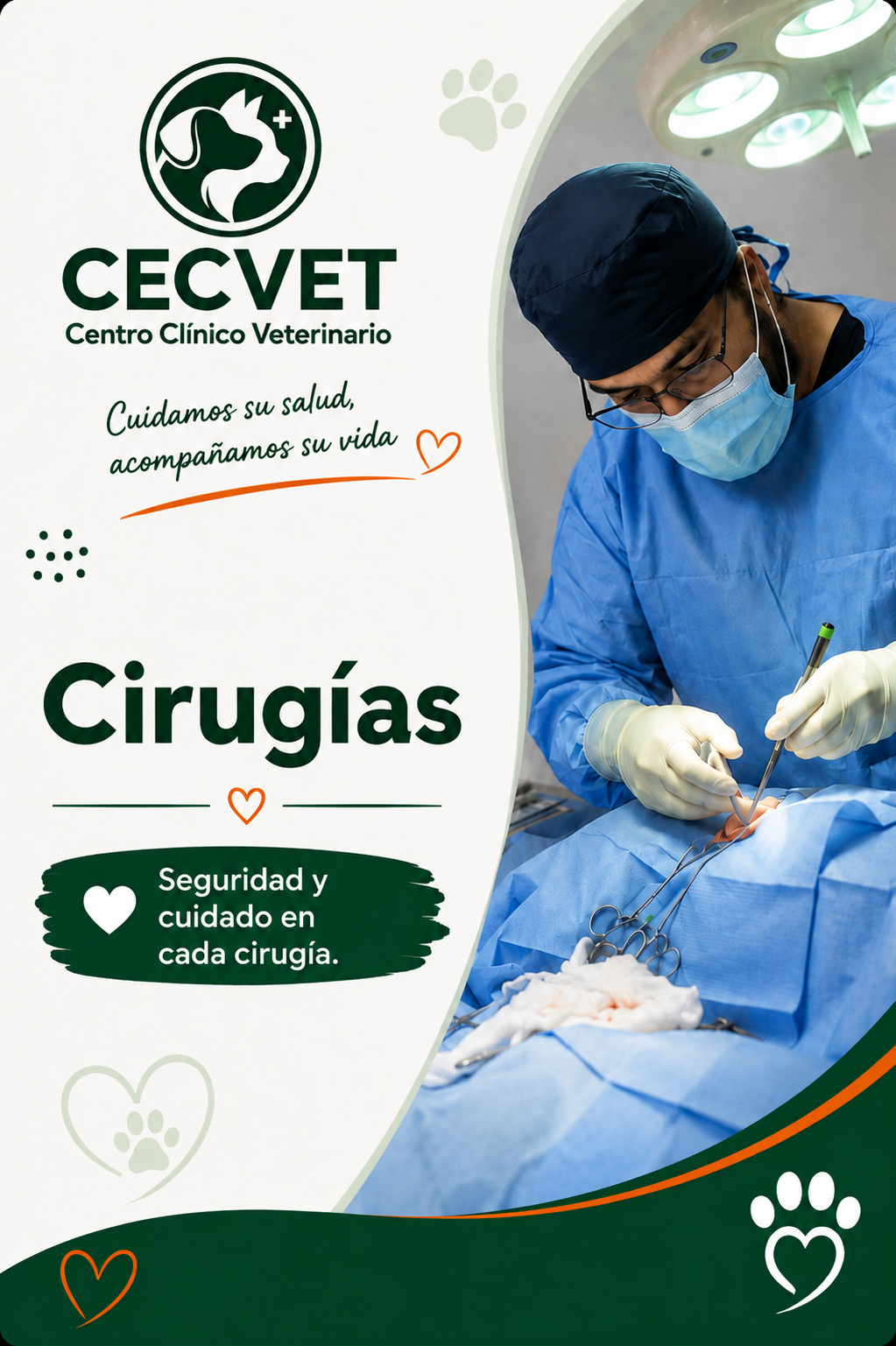 Atención veterinaria cálida para mascotas
